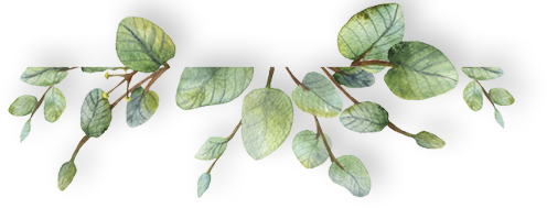 bottom-leaves