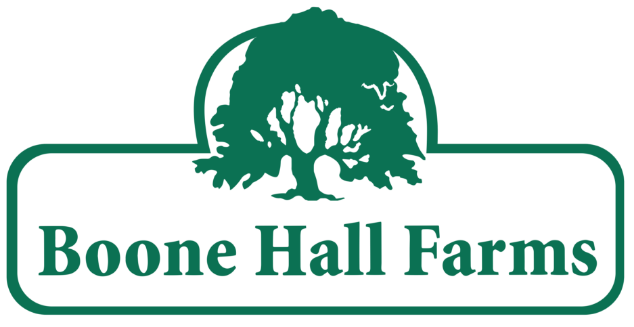 Boone Hall Farms